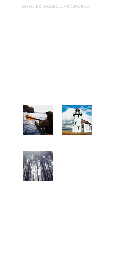 Selected molecular Chords

Adenine:                  Tryptophan:
￼

Alanine:                   Glycine:
￼    ￼
￼￼Glycine
text￼
